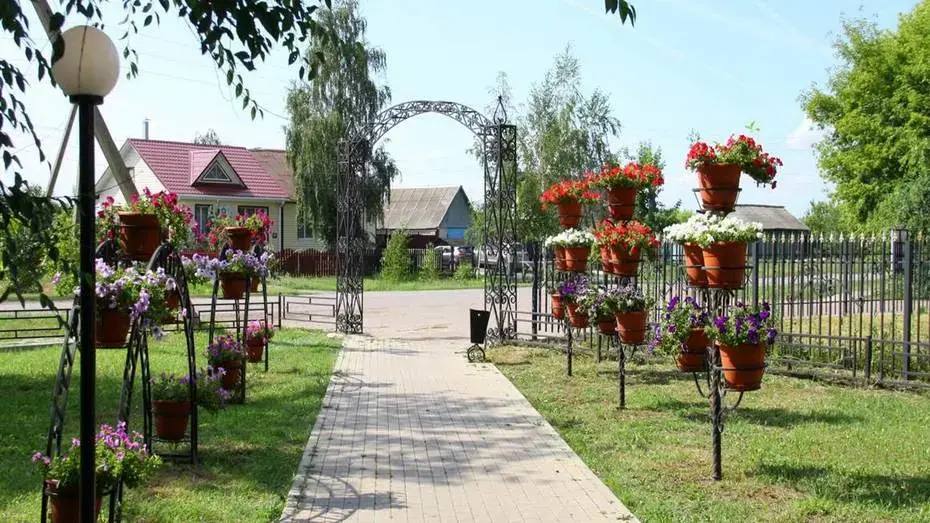 В основной этап конкурса «Самое красивое село Воронежской области» пройдут 20 населенных пунктов региона.
